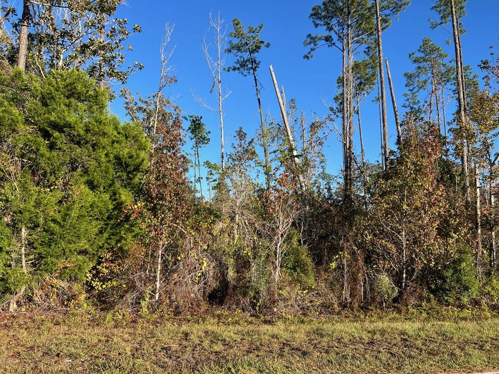 Kinard, FL 32449,Lot 24 Se Cypress Point Rd