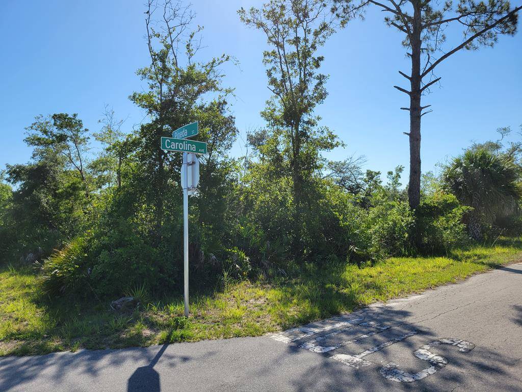 Port St. Joe, FL 32456,Lot 12 Pineda St