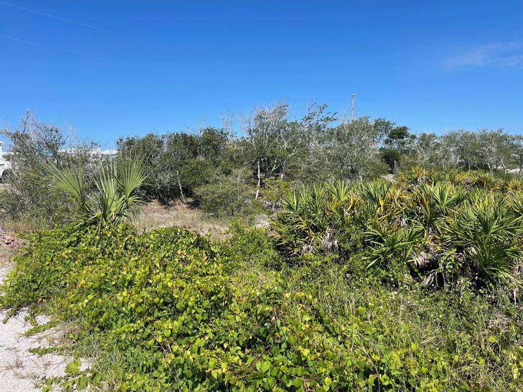 Cape San Blas, FL 32456,Lot 14 Bent Tree Rd