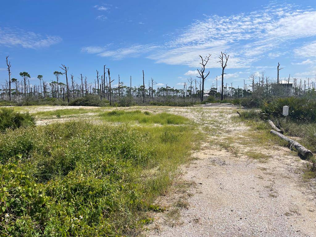 Cape San Blas, FL 32456,Lot 14 Bent Tree Rd