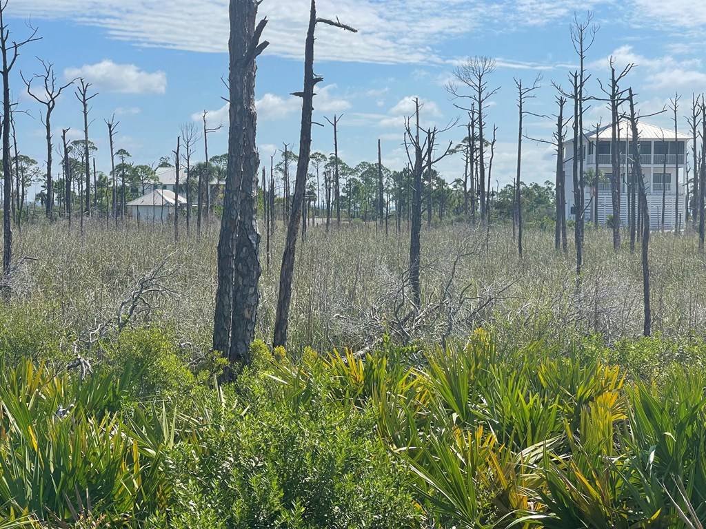 Cape San Blas, FL 32456,Lot 14 Bent Tree Rd