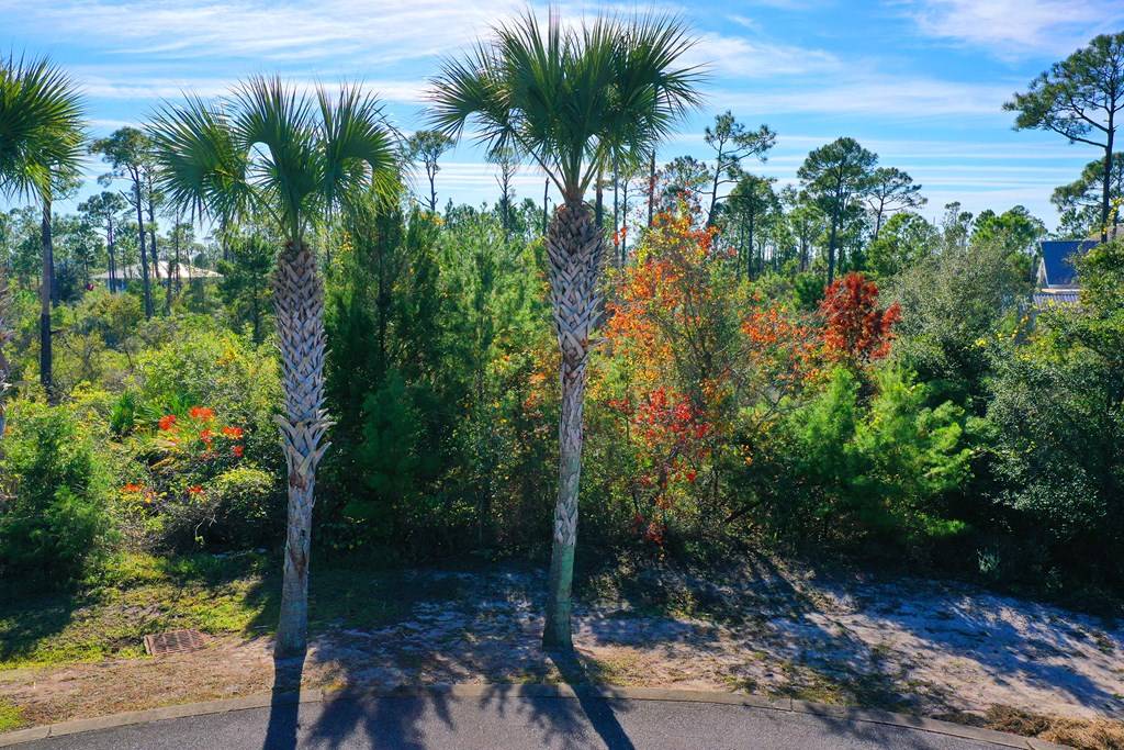 Port St. Joe, FL 32456,109 Conch St