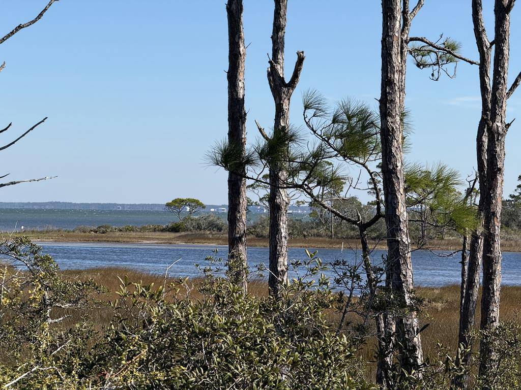 Cape San Blas, FL 32456,TBD Cape San Blas Rd