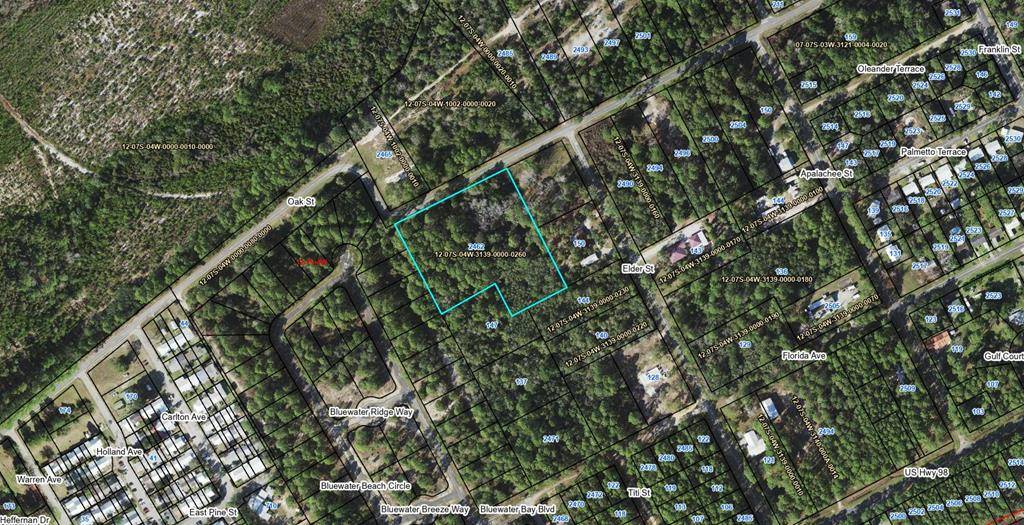 Lanark Village, FL 32323,2462 Oak St