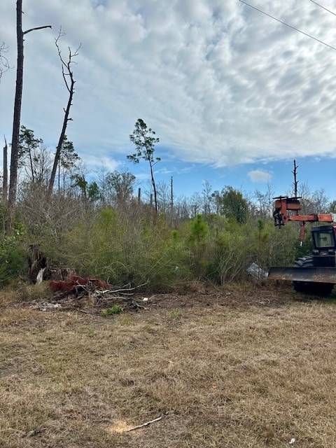 Kinard, FL 32449,Lot 2 Pine St