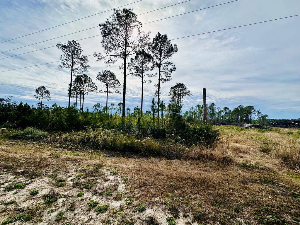 Carrabelle, FL 32322,182 Airport Rd