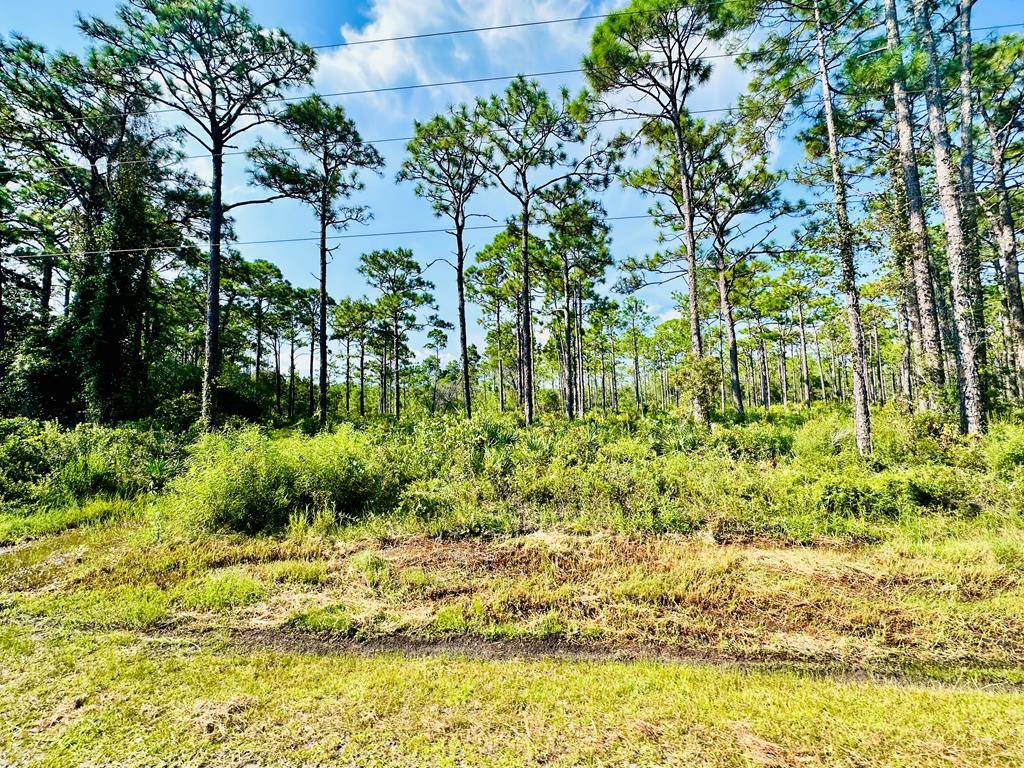 Eastpoint, FL 32328,247 Twin Lakes Rd
