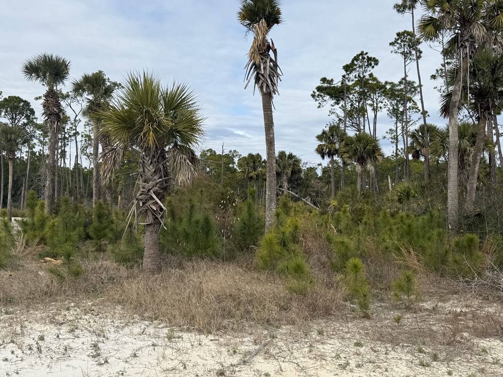 Port St. Joe, FL 32456,7951 Cr 30-a