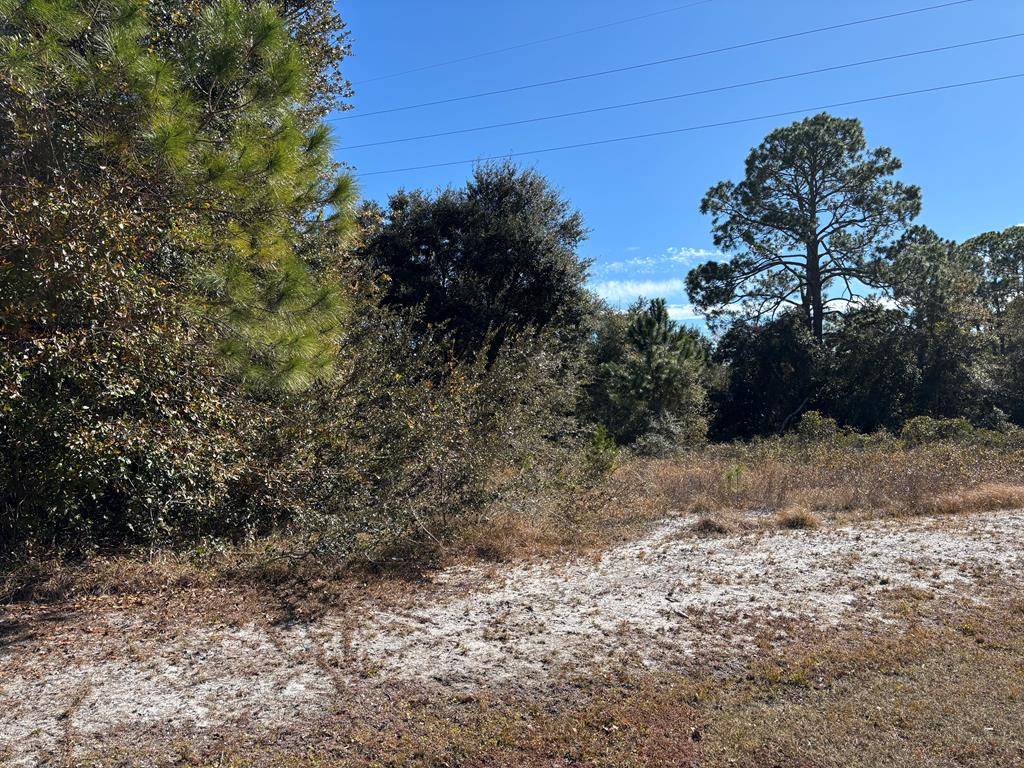 Eastpoint, FL 32328,228 Boncycle Land Dr