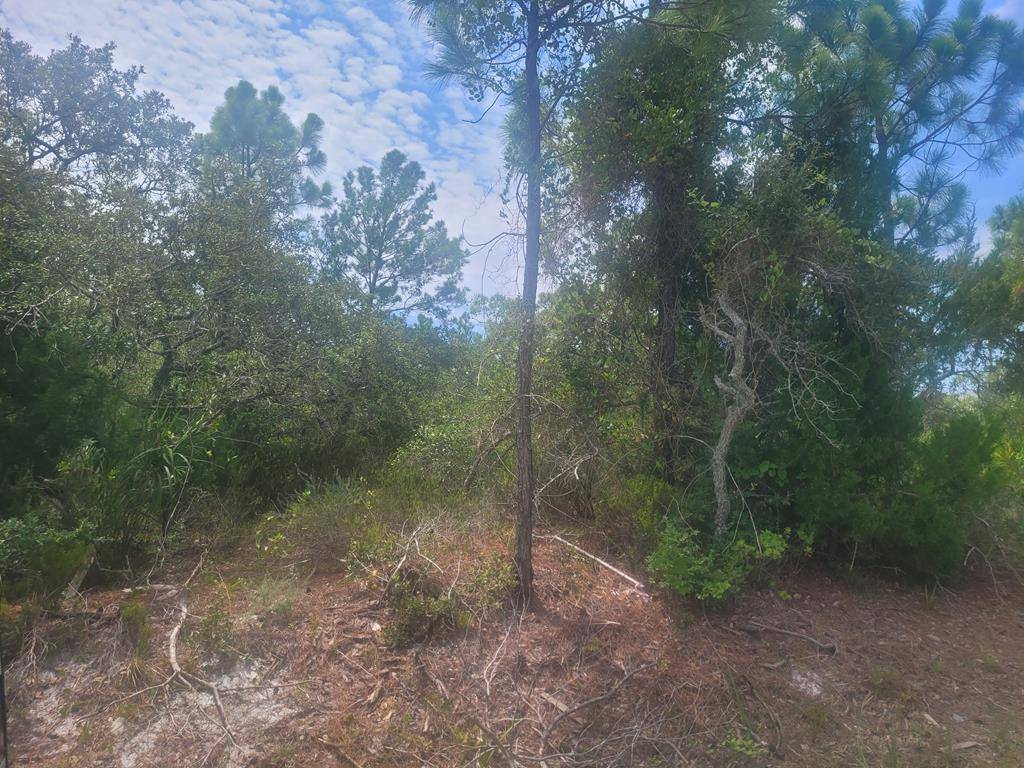 St. George Island, FL 32328,228 E Pine Ave