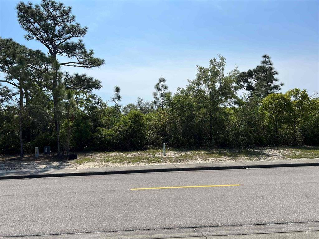 Carrabelle, FL 32322,146 Anhinga Trl