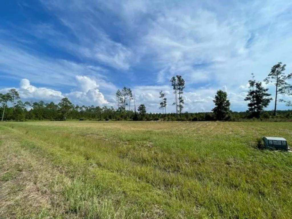 Wewahitchka, FL 32465,lot11&12 Spanish Moss Way