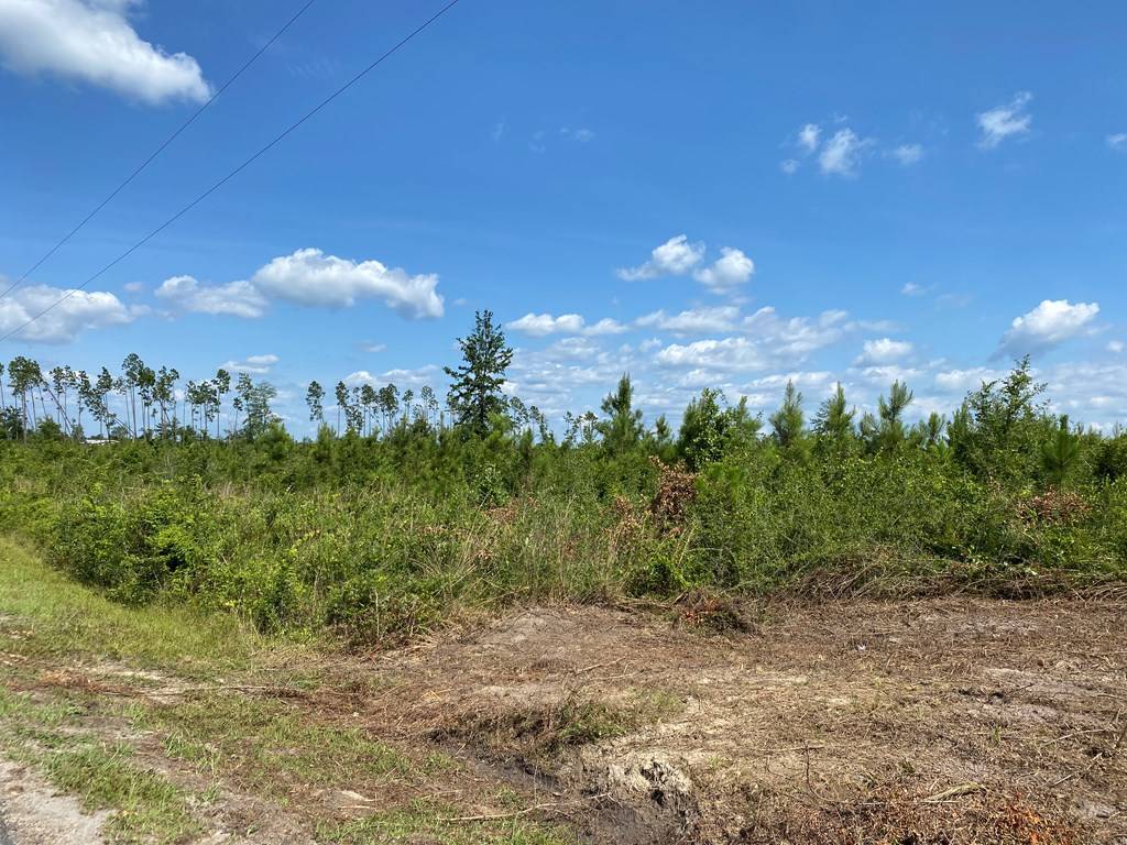Wewahitchka, FL 32465,TBD Idlewood Dr