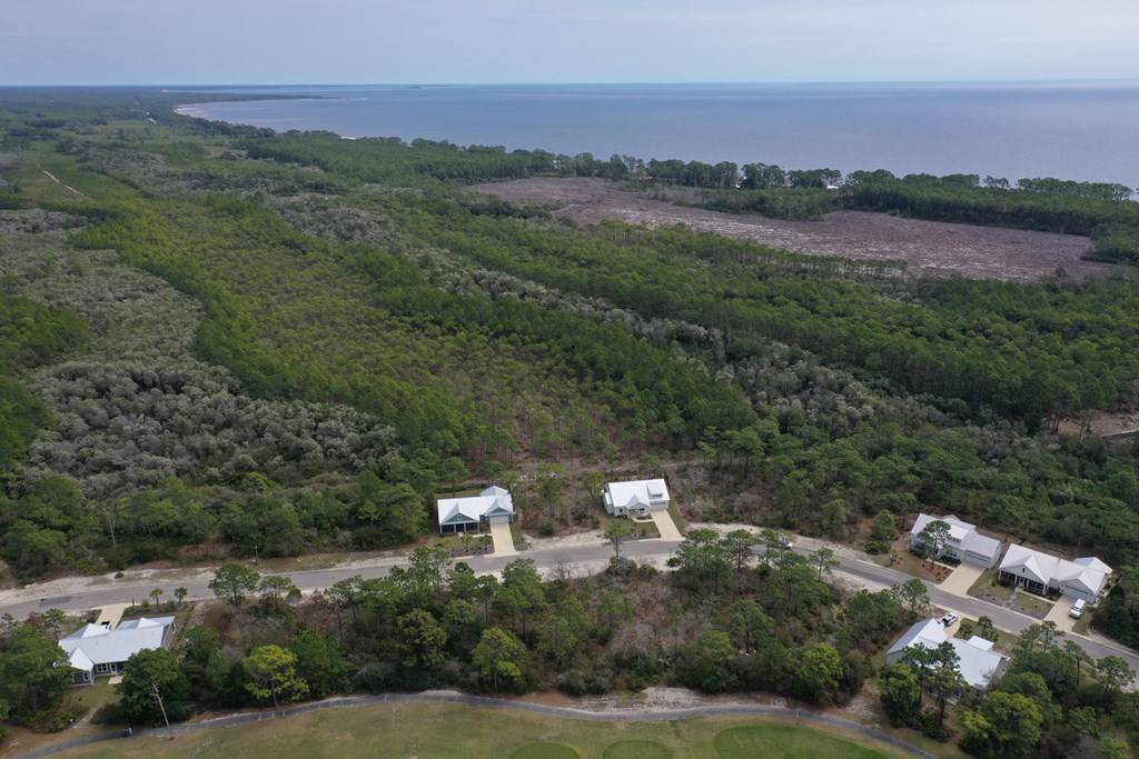 Carrabelle, FL 32322,305 Royal Tern Way