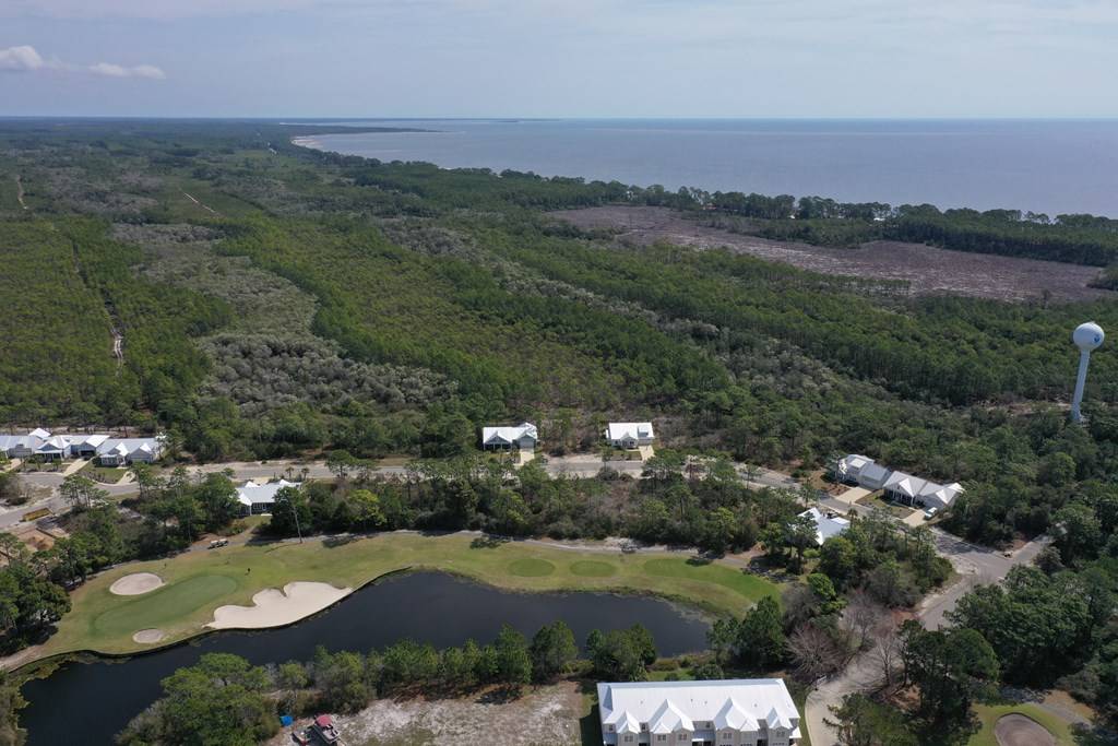 Carrabelle, FL 32322,309 Royal Tern Way