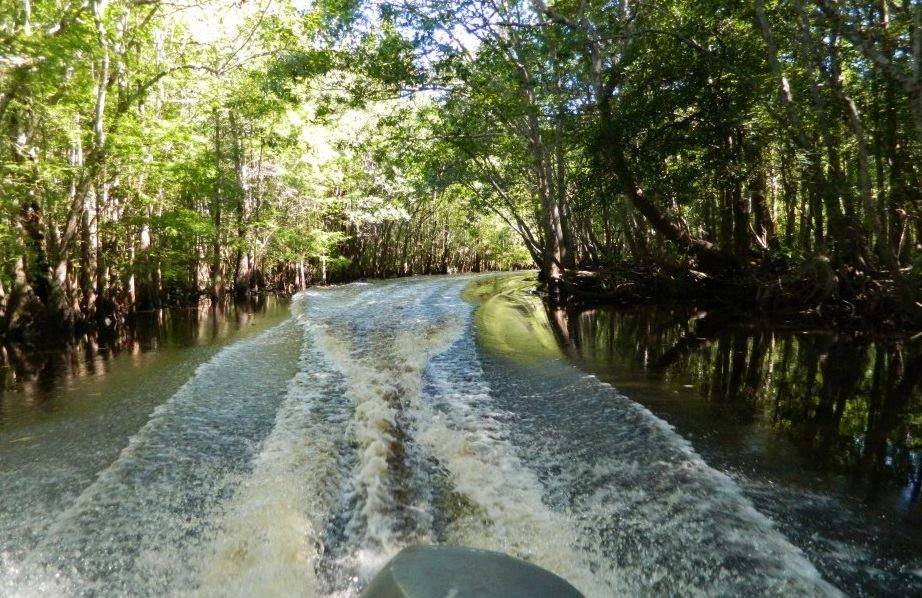 Wewahitchka, FL 32465,353 S Duck Ave
