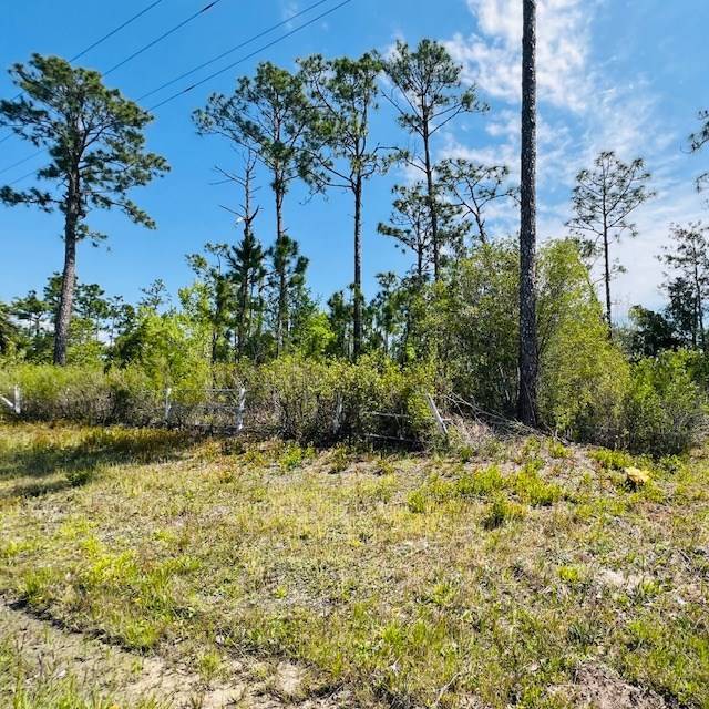 Wewahitchka, FL 32465,8942 Cr 386 N