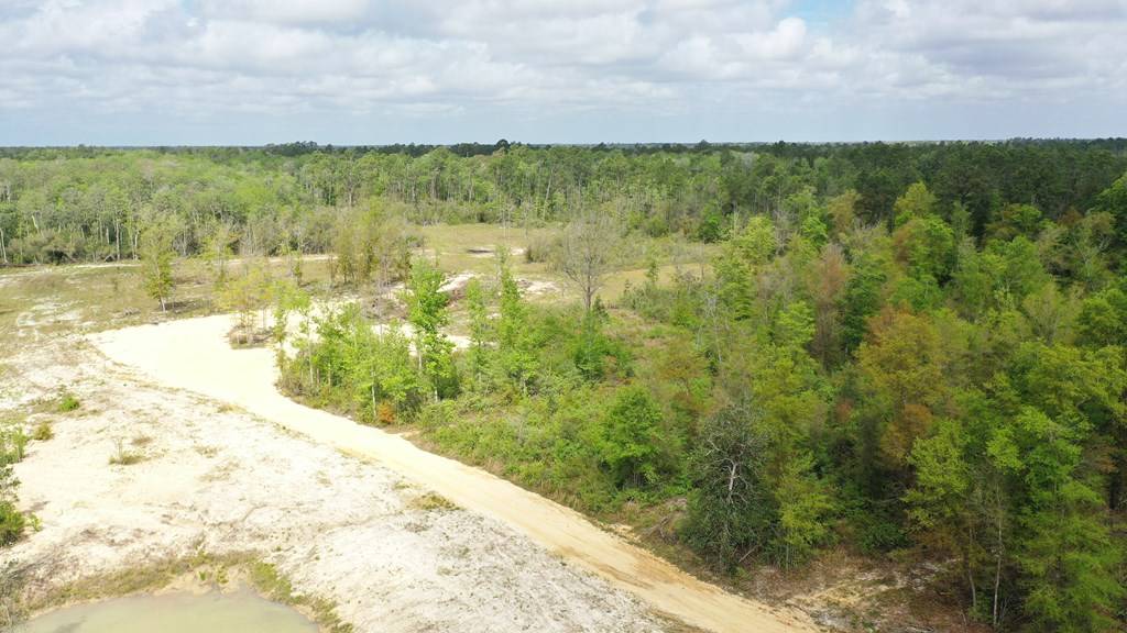 Wewahitchka, FL 32465,2771 Hwy 71 S