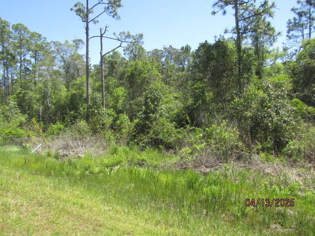 Carrabelle, FL 32322,Lot 6 Hwy 67