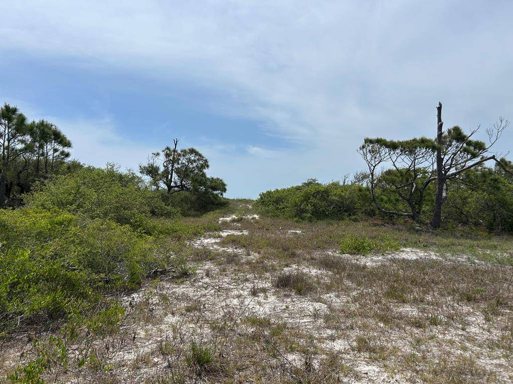 Carrabelle, FL 32322,500 Gulf Shore Dr