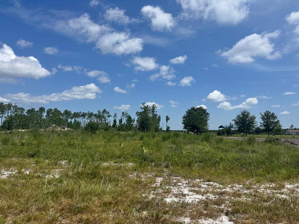 Wewahitchka, FL 32465,Lot 1 Margies Ln