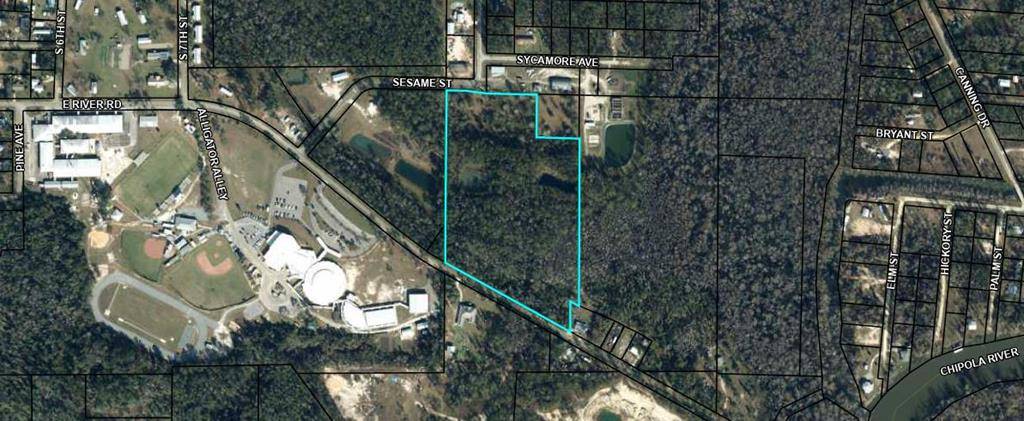 Wewahitchka, FL 32456,TBD E River Rd