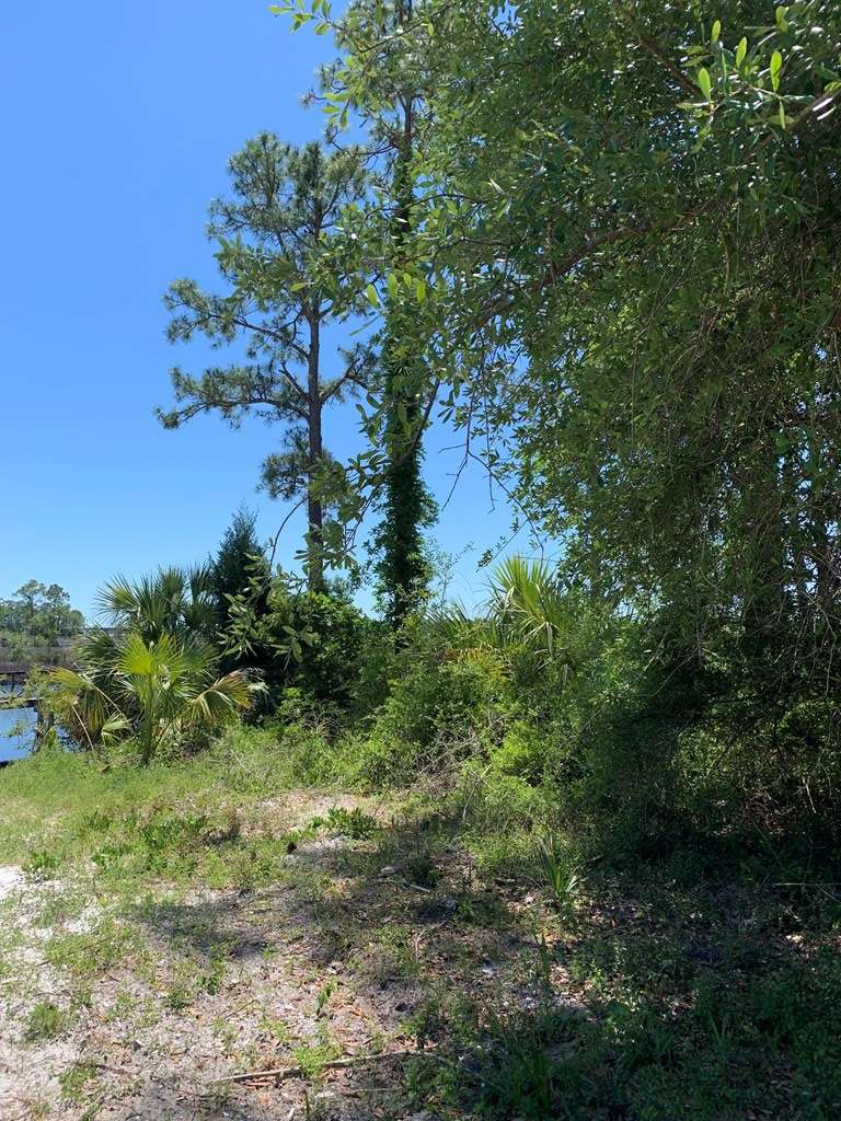 Carrabelle, FL 32322,519 Shelly's Loop Rd