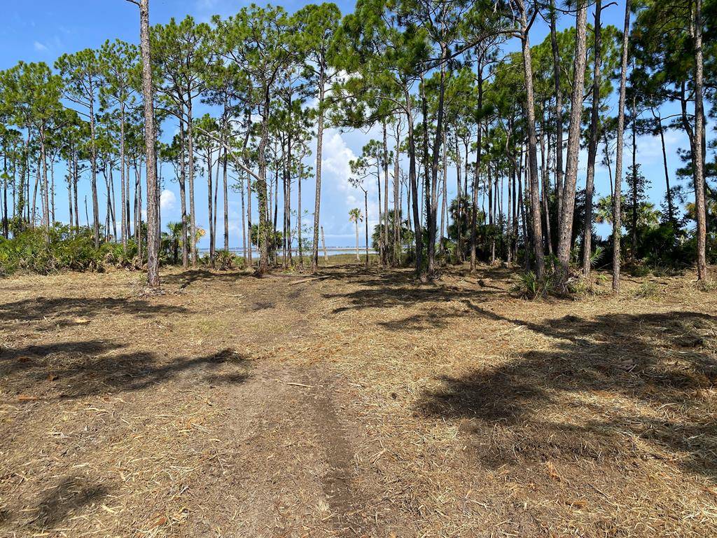 Port St. Joe, FL 32456,Lot 4 Heron Bay Ln