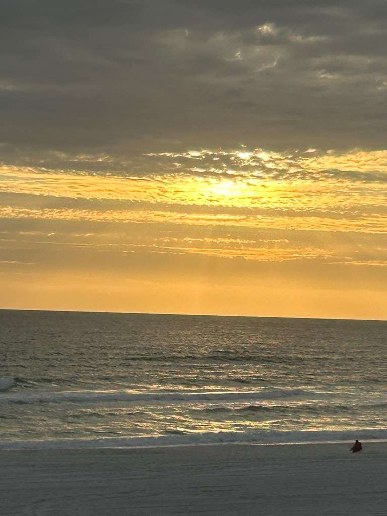 Port St. Joe, FL 32456,TBD Olive Ave