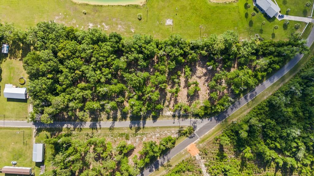 Wewahitchka, FL 32465,Parcel A Mossie Rd
