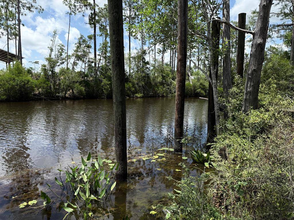 Wewahitchka, FL 32465,429 Spruce Ave
