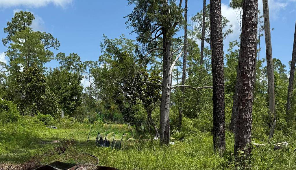 Wewahitchka, FL 32465,429 Spruce Ave