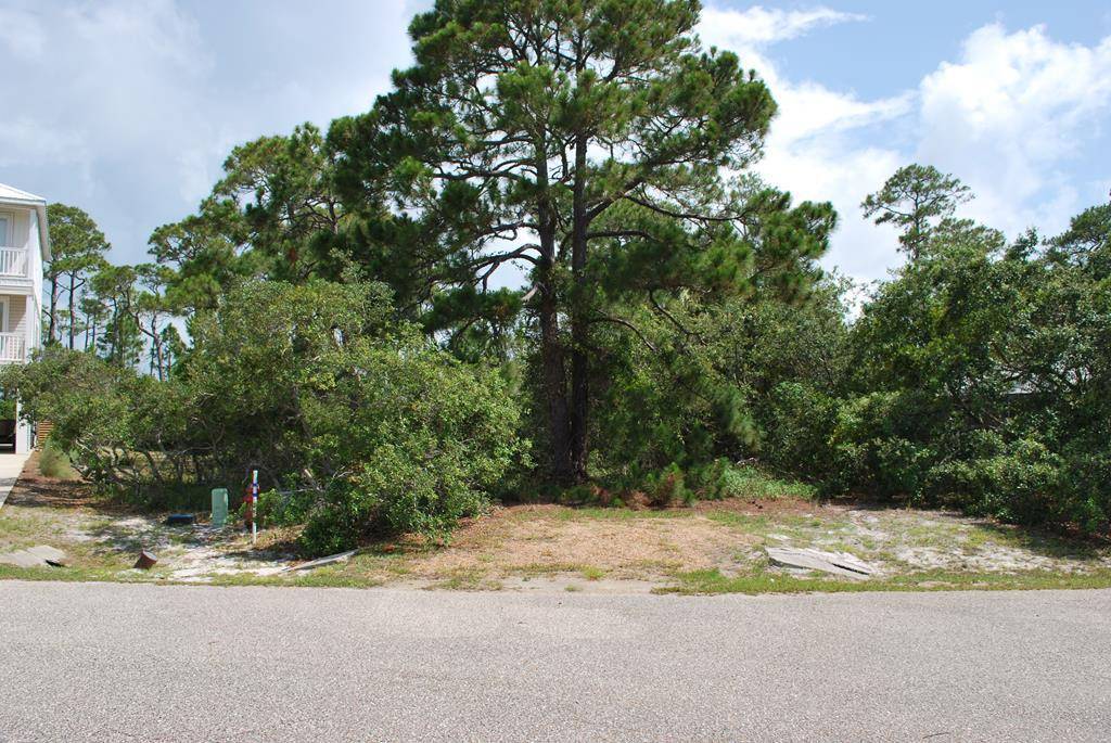 St. George Island, FL 32328,1645 Wayfarers Ct