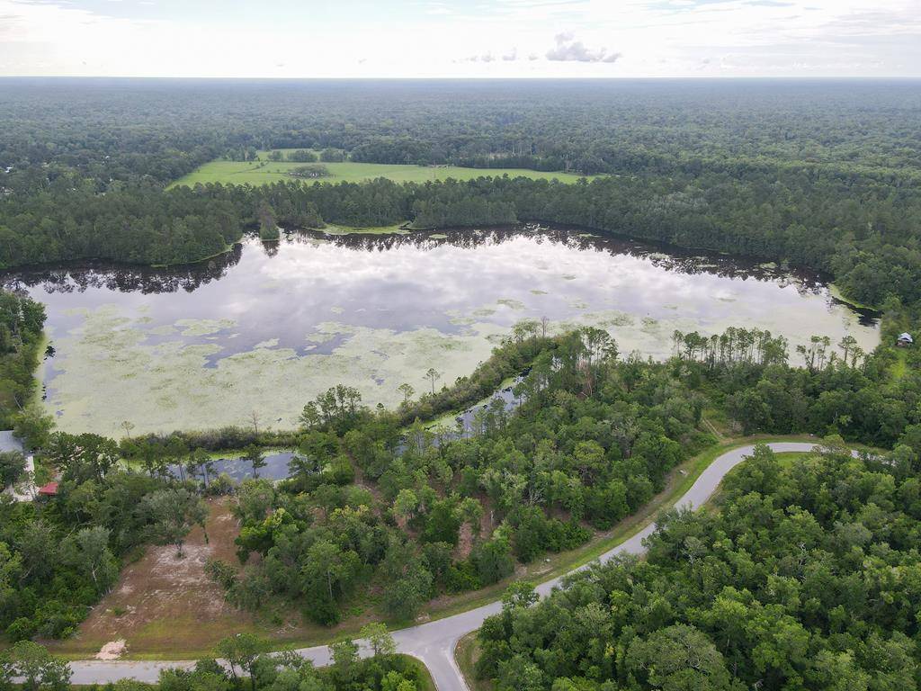 Wewahitchka, FL 32465,279 Seven Springs Dr