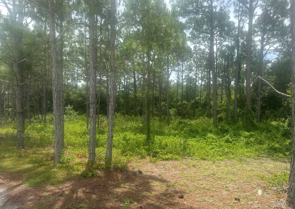 Carrabelle, FL 32323,115 Plover Ct