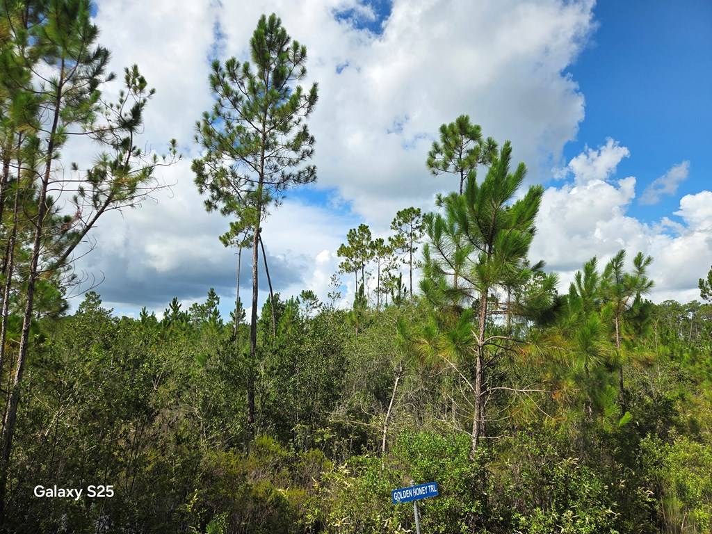 Eastpoint, FL 32328,204 Longleaf Dr