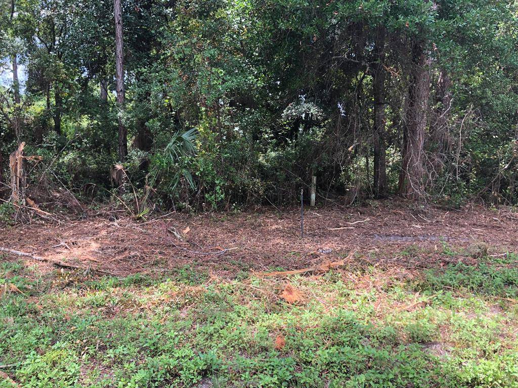 Carrabelle, FL 32322,130 Blue Water Beach Cir
