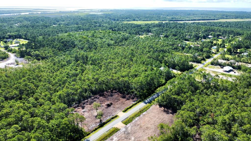 Apalachicola, FL 32320,Lot 68S Peachtree Rd