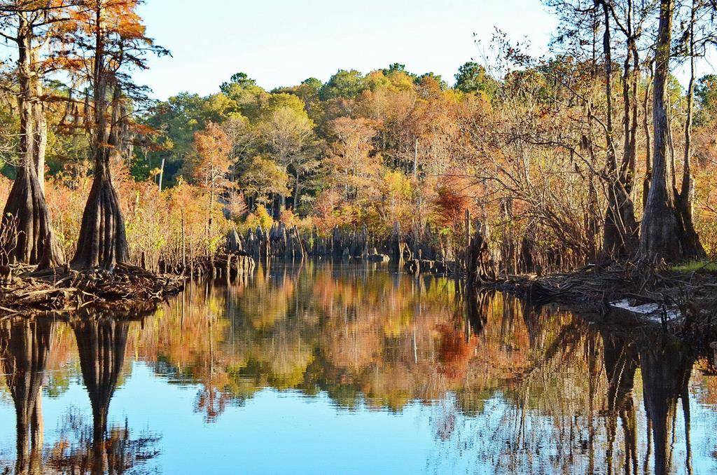 Wewahitchka, FL 32465,Lot 5 Sesame St