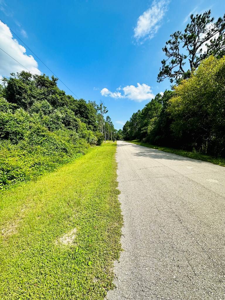 Lanark Village, FL 32323,221 Franklin St