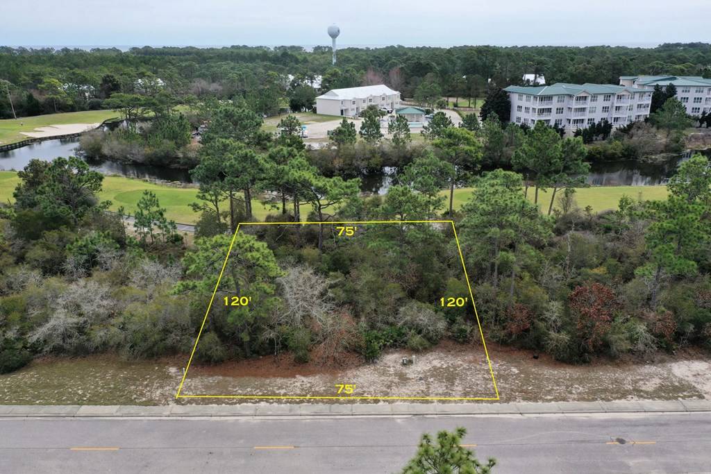 Carrabelle, FL 32322,397 Royal Tern Way