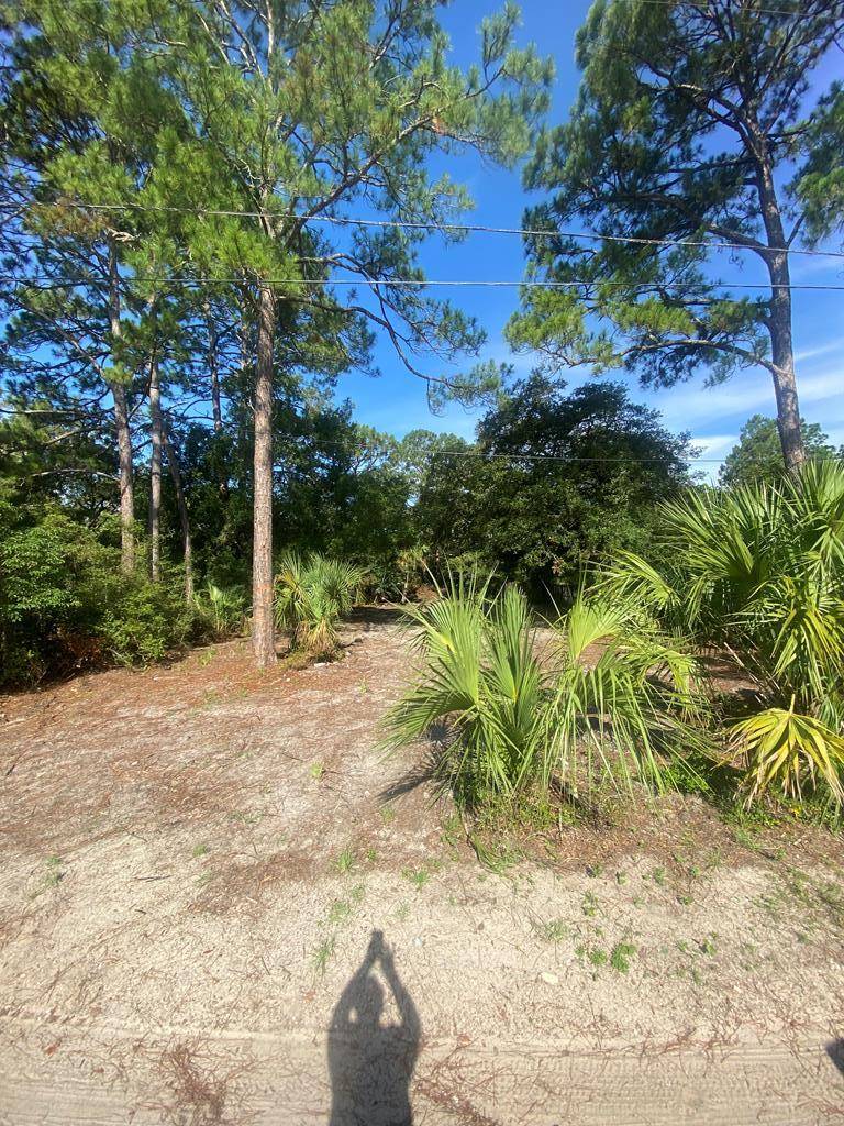 Panacea, FL 32346,74 Westview St