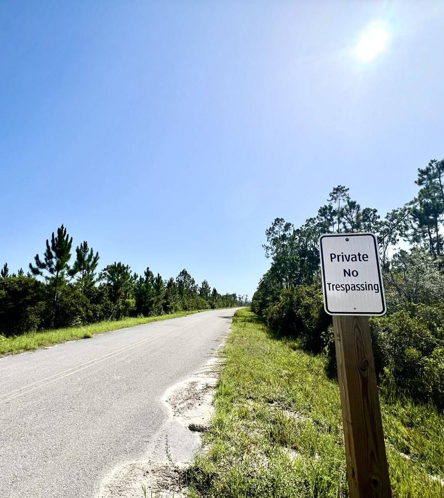 Wewahitchka, FL 32465,00 E Marsh Line Rd