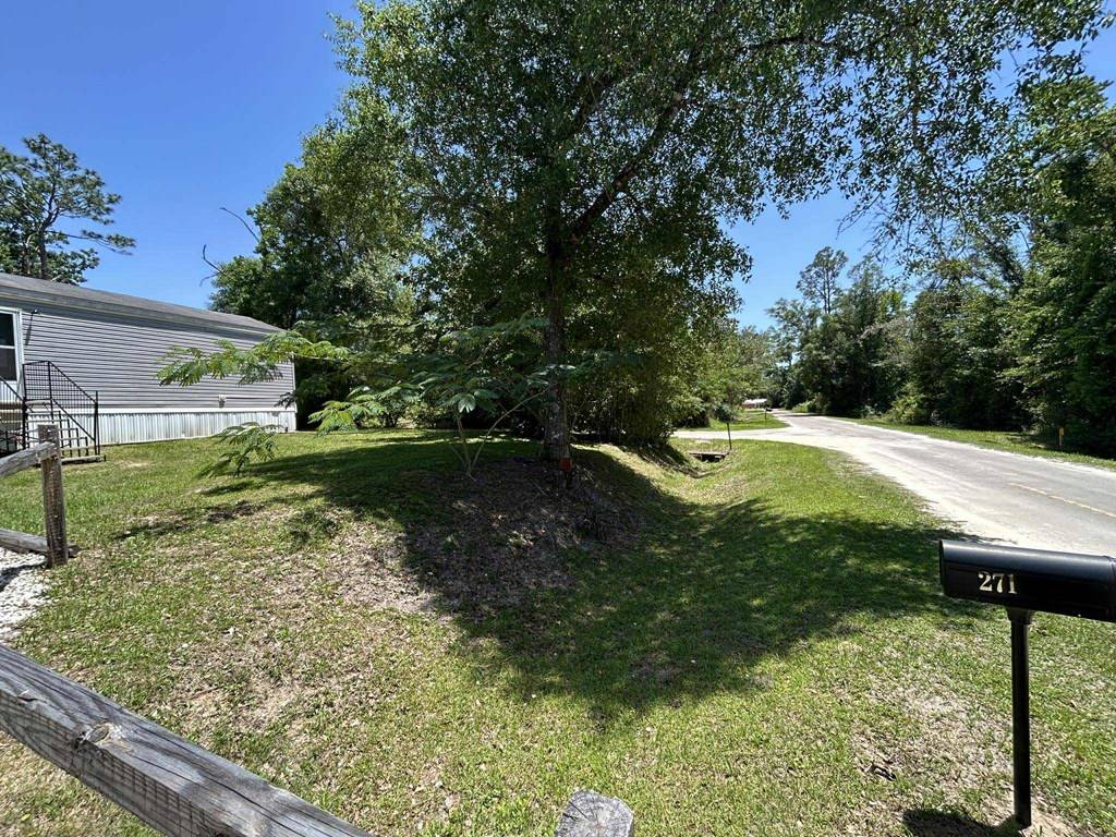 Wewahitchka, FL 32465,271 Waterview Ave