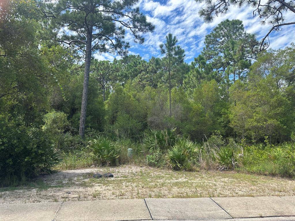 Carrabelle, FL 32322,152 White Pelican Way