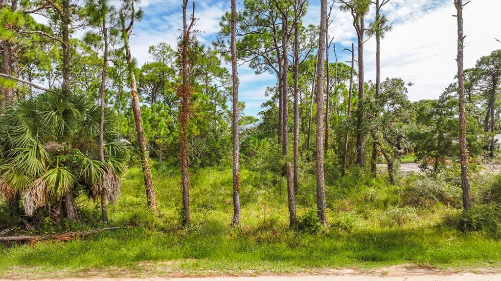 St. George Island, FL 32328,1028 Porter St
