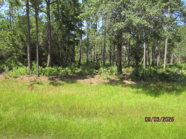 Eastpoint, FL 32328,315 Gramercy Plantation Blvd