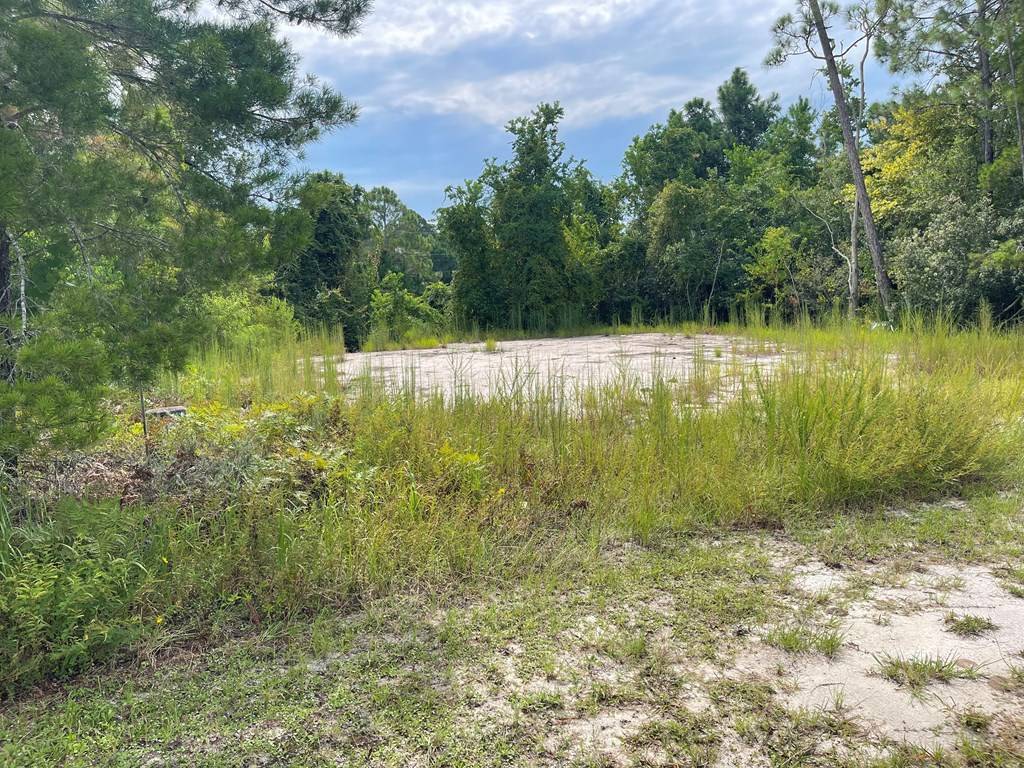 Carrabelle, FL 32322,1612 Sea Breeze Way
