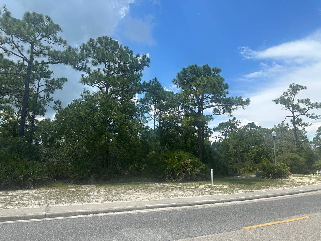 Carrabelle, FL 32322,395 Royal Tern Way
