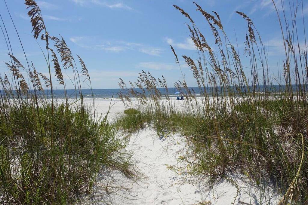 Mexico Beach, FL 32456,124 Sugar Sand W